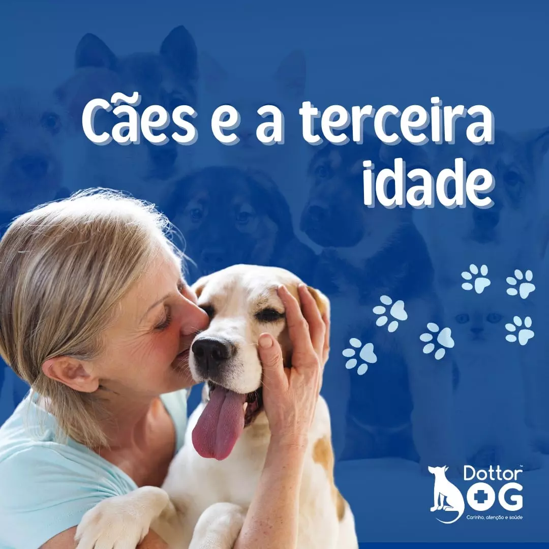 A IMPORTÂNCIA  DOS CÃES  TAMBÉM NA TERCEIRA IDADE !